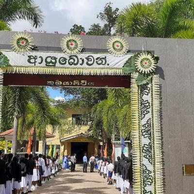 357093876 758831299372845 5878009978315462862 N